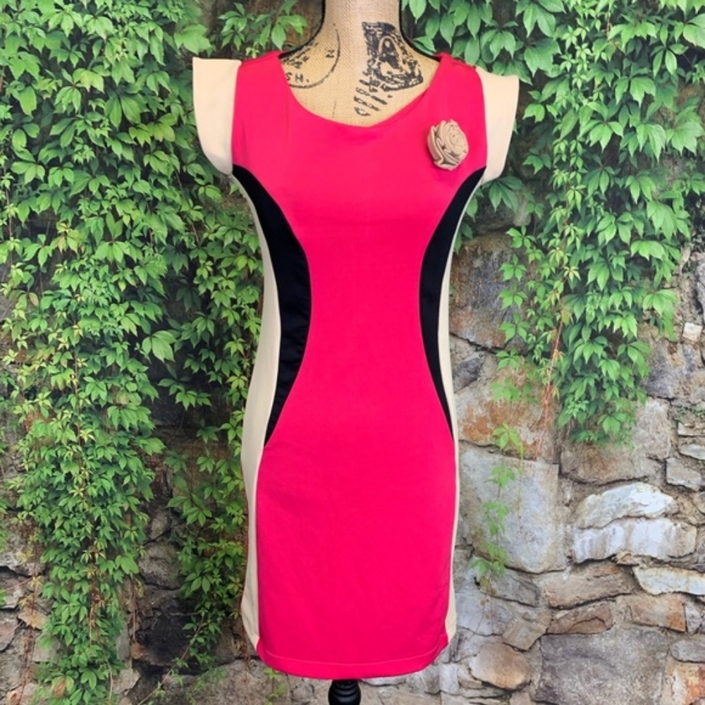 NWT ZARA BASIC pink color block dress